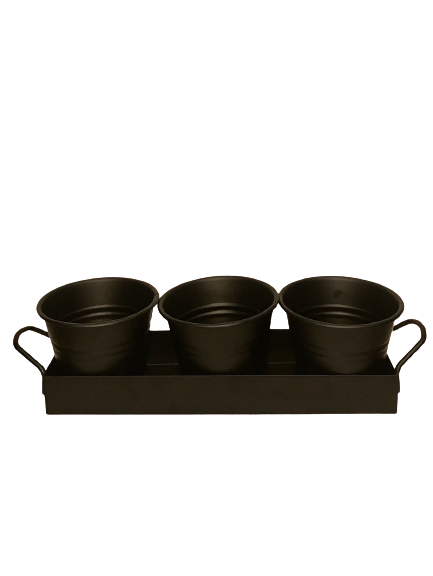Tepsili 3 lü mini saksı