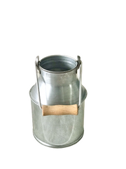 Galvaniz mini güğüm saksı kaşıklık