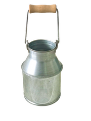 Galvaniz mini güğüm saksı kaşıklık