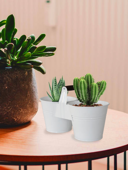 Ahşap saplı ikili mini saksı